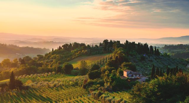 Immagine: Tourist Mailer